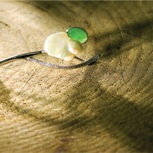 Aesthetics of Contrast (Green 4)