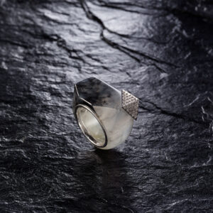 Ink Wash (Black Chicken Species)